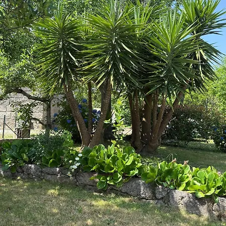 Casa Mos Amarante
