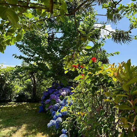 Casa Mos Tatil Evi