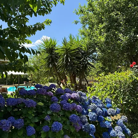 Nyaraló Casa Mos Amarante