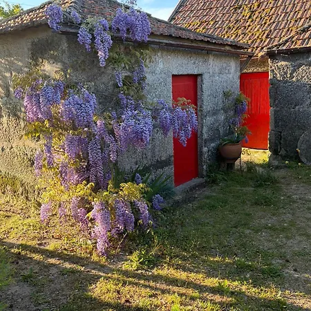 Casa Mos * Amarante