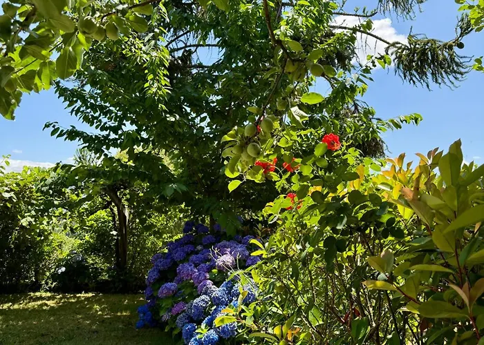 Casa Mos Casa vacanze