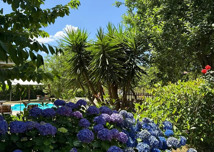 Holiday home Casa Mos Amarante